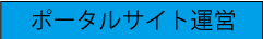ポータルサイト運営